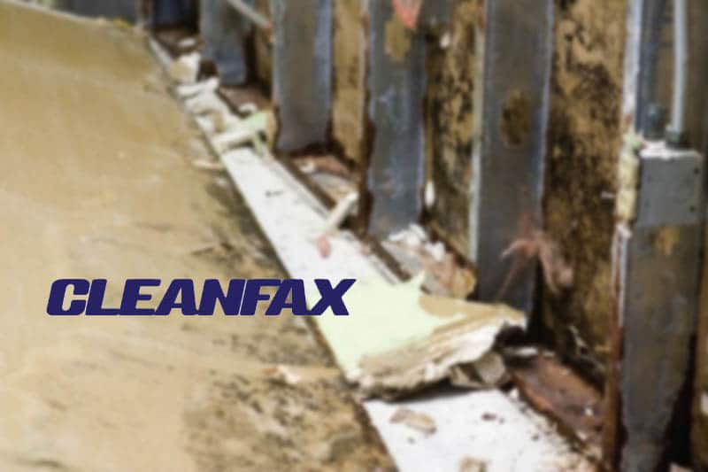 Michael Rubino Mold Medic