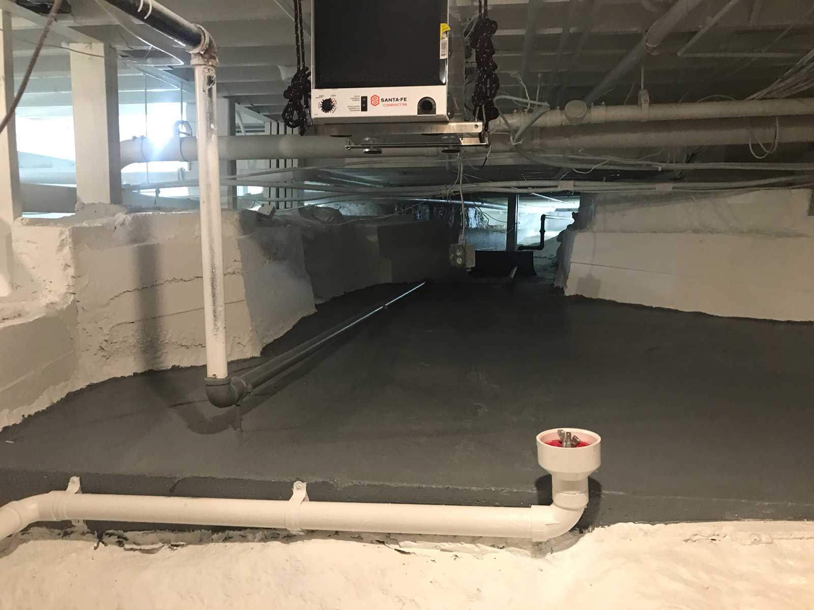 what should basement mold remediation look like