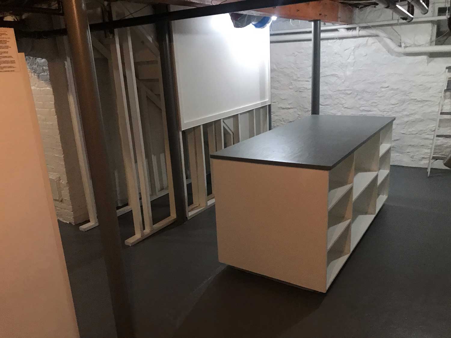 basement mold remediation