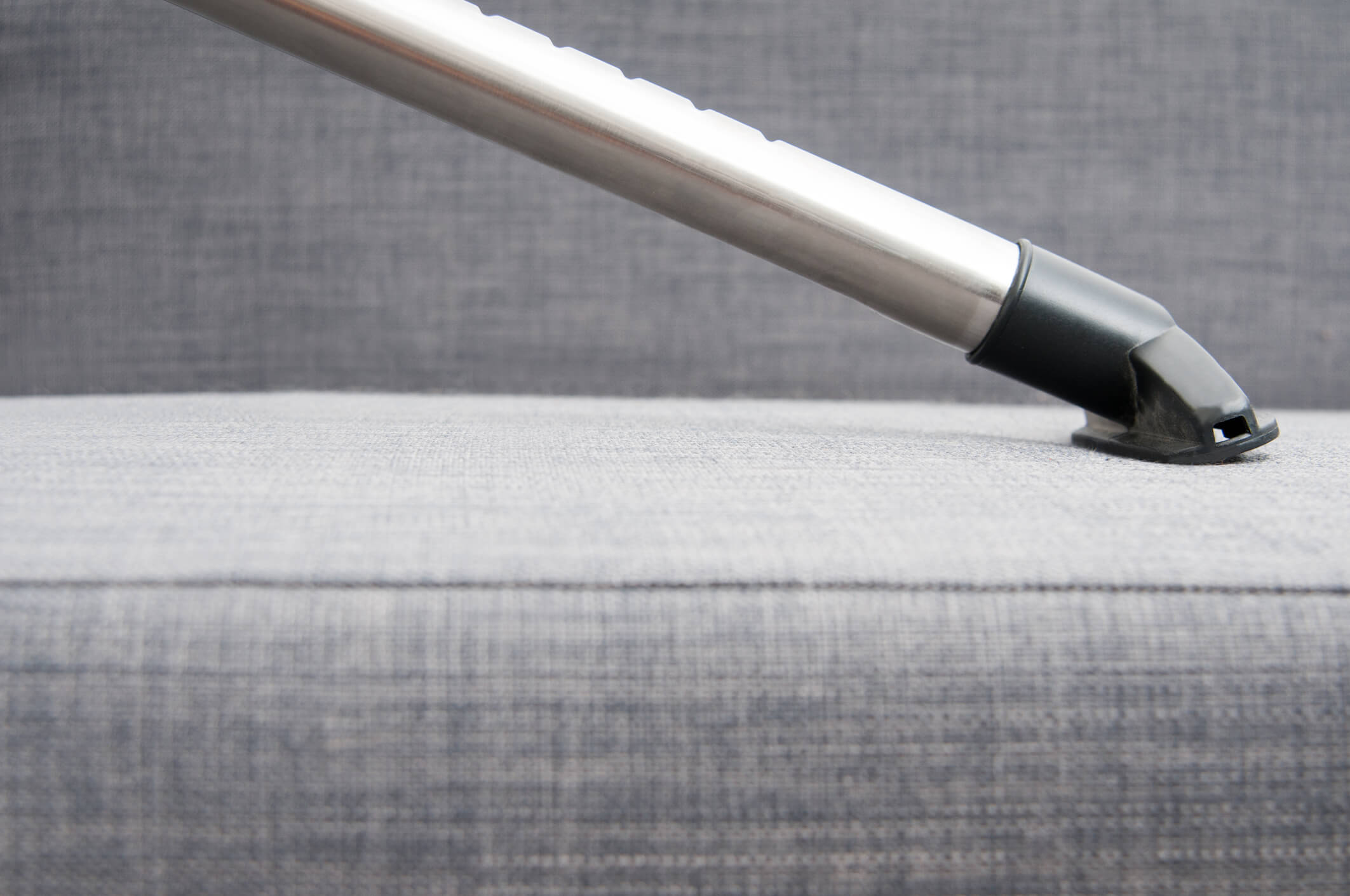 bacteria remediation