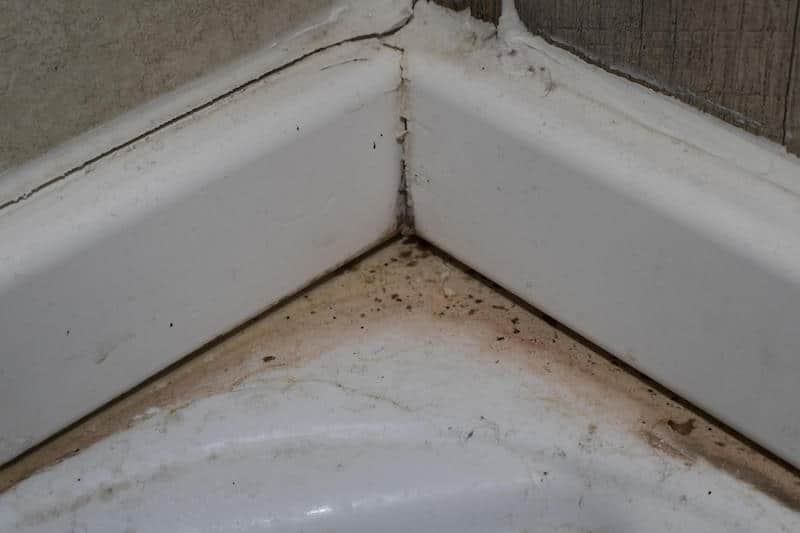 mold in caulk