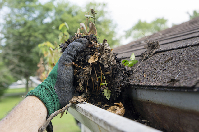 preventing mold after a flood