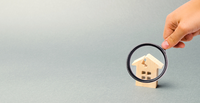 Prevent Mold in the Spring