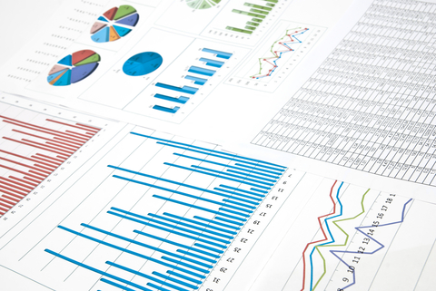 mold inspection cost