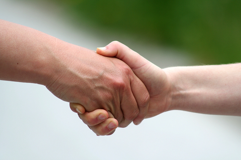 mold company near me