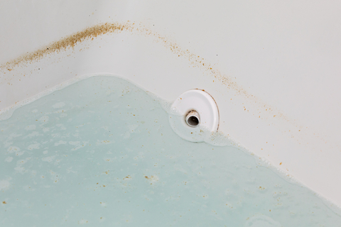 mold in a bathtub