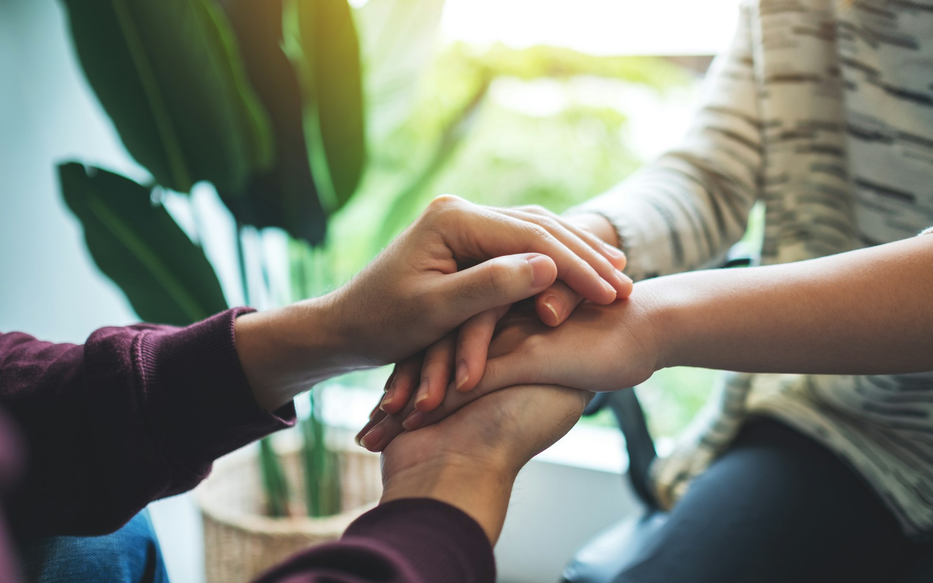 Support Someone Dealing with Mold Exposure