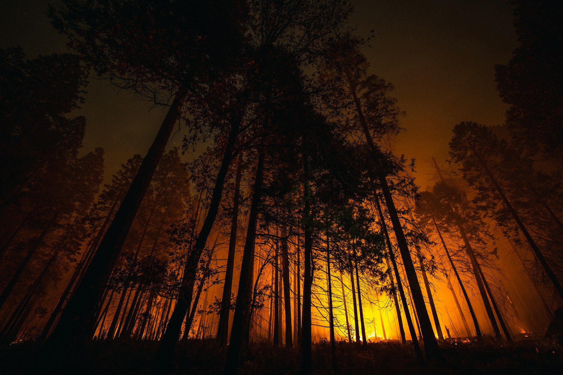 Wildfire Smoke and Indoor Air Quality