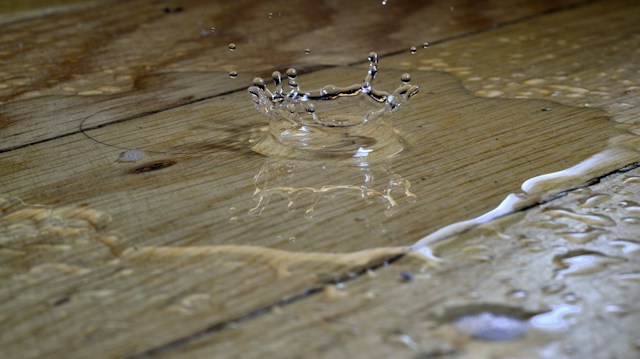 Water dripping onto a wood floor from a slow leak Water dripping onto a wood floor from a slow leak